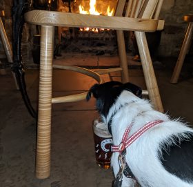 Titch enjoying a drink in front of the fire.